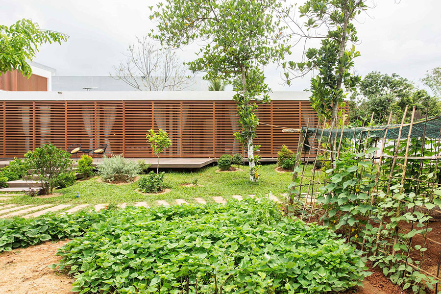 Mẫu thiết kế nhà vườn 1 tầng xanh mướt nhiều ánh sáng